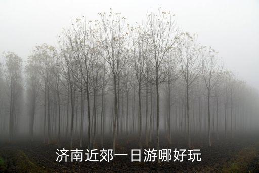 濟南近郊一日游哪好玩