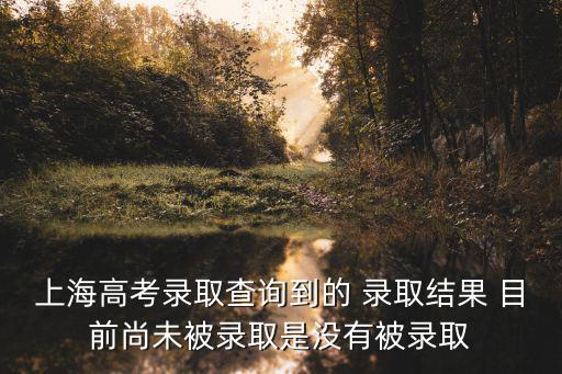 上海高考錄取查詢到的 錄取結果 目前尚未被錄取是沒有被錄取