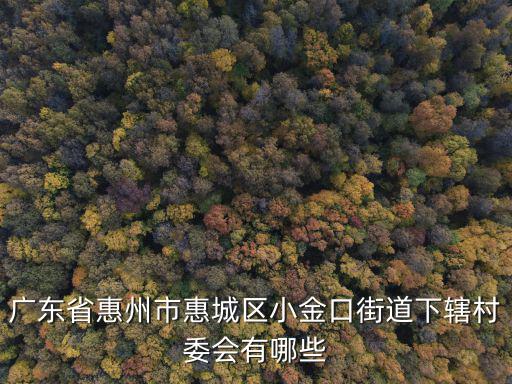 廣東省惠州市惠城區(qū)小金口街道下轄村委會有哪些