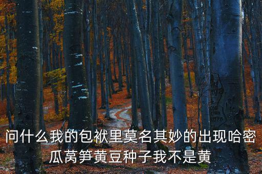 問什么我的包袱里莫名其妙的出現(xiàn)哈密瓜萵筍黃豆種子我不是黃
