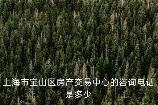 上海市寶山區(qū)房產(chǎn)交易中心的咨詢電話是多少