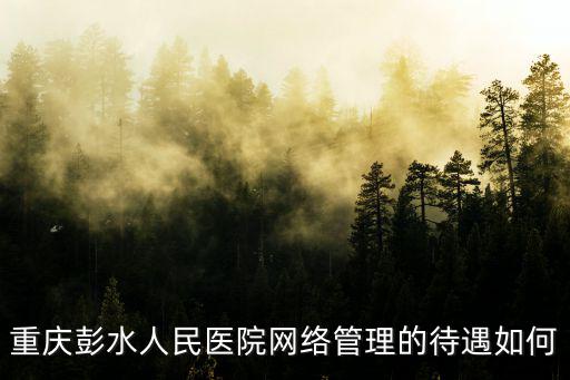 重慶彭水人民醫(yī)院網(wǎng)絡(luò)管理的待遇如何