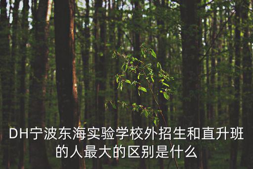 DH寧波東海實驗學校外招生和直升班的人最大的區別是什么