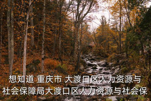 想知道 重慶市 大渡口區人力資源與社會保障局大渡口區人力資源與社會保