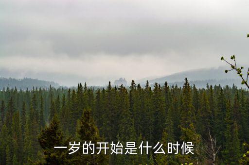 一歲，一歲的開(kāi)始是什么時(shí)候