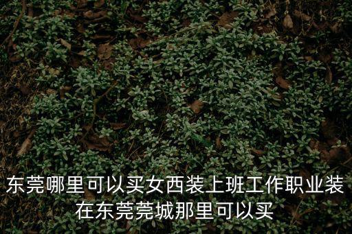 東莞哪里可以買女西裝上班工作職業裝在東莞莞城那里可以買
