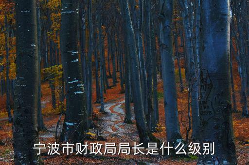 寧波市財政局局長是什么級別