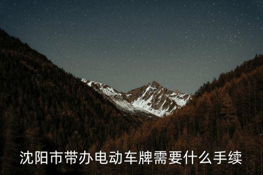 電動車上牌照需要什么手續(xù)，常州市辦電瓶車牌照要哪些證件