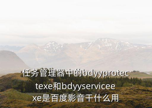 任務(wù)管理器中的bdyyprotectexe和bdyyserviceexe是百度影音干什么用