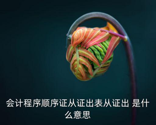 會(huì)計(jì)程序順序證從證出表從證出 是什么意思