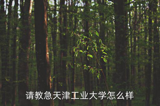 請教急天津工業大學怎么樣