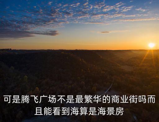 騰飛廣場，可是騰飛廣場不是最繁華的商業街嗎而且能看到海算是海景房