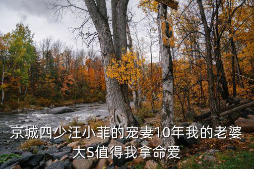 京城四少汪小菲的寵妻10年我的老婆大S值得我拿命愛