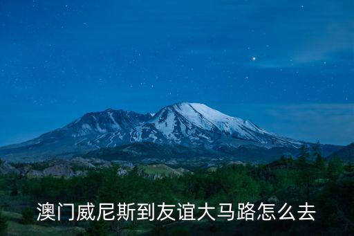 澳門威尼斯到友誼大馬路怎么去