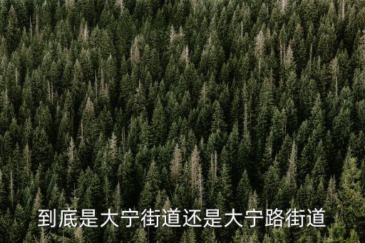 到底是大寧街道還是大寧路街道