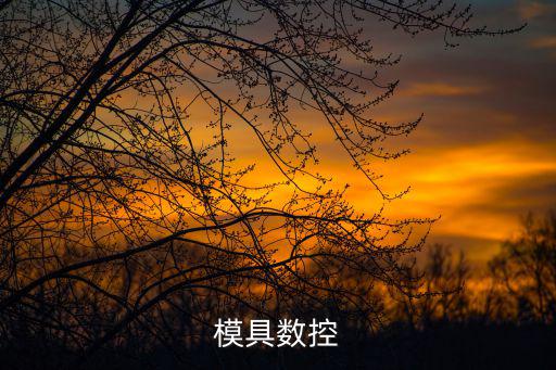 模具數(shù)控