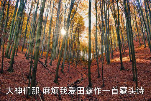 大神們那 麻煩我愛田露作一首藏頭詩