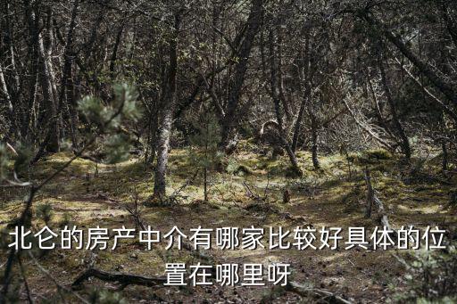 北侖的房產(chǎn)中介有哪家比較好具體的位置在哪里呀