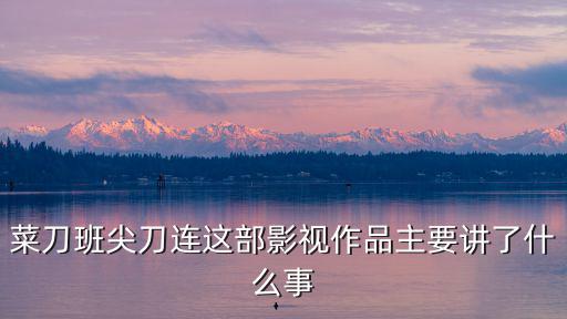 菜刀班尖刀連這部影視作品主要講了什么事