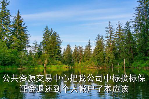 公共資源交易中心把我公司中標(biāo)投標(biāo)保證金退還到個人帳戶了本應(yīng)該
