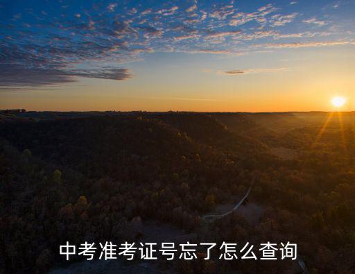 中考準考證號忘了怎么查詢
