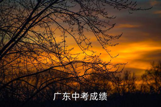 廣東中考成績