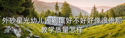星光幼兒園，南陽人民路的星光幼兒園教學(xué)好嗎