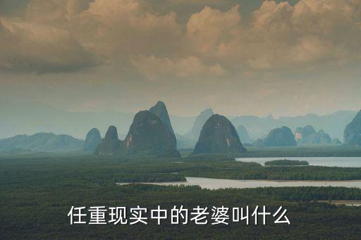 任重現實中的老婆叫什么
