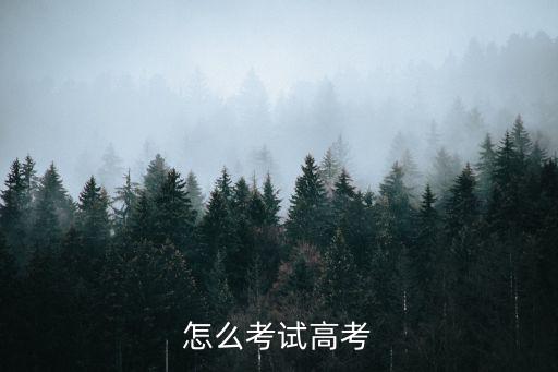 怎么考試高考