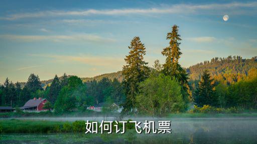 如何訂飛機票
