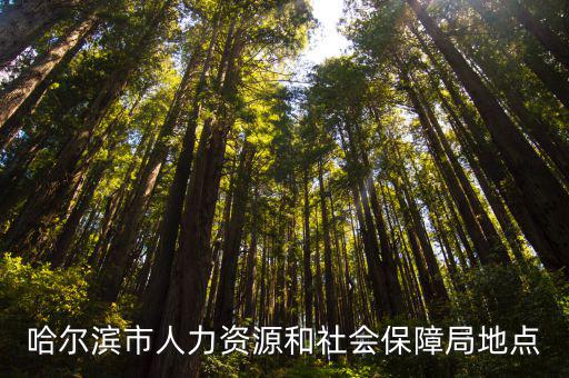 哈爾濱市人力資源和社會保障局地點