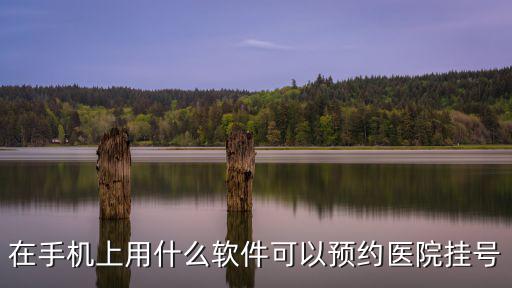 在手機(jī)上用什么軟件可以預(yù)約醫(yī)院掛號(hào)