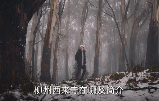 西來古寺，柳州西來寺在哪個位置