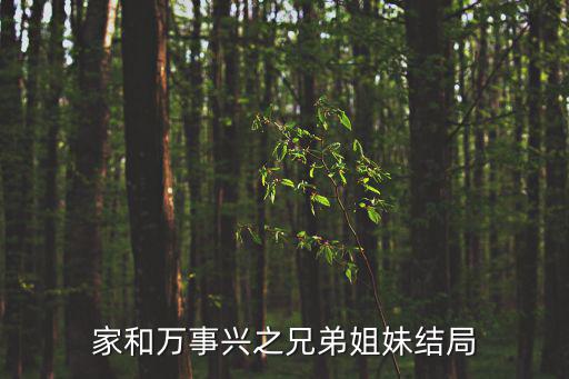 家和萬事興之兄弟姐妹結局