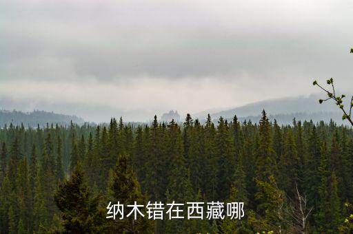 納木錯在西藏哪
