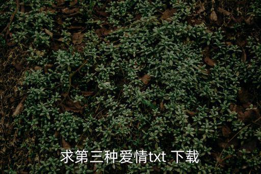 求第三種愛情txt 下載