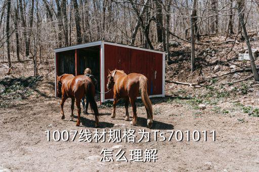 ts7，1007線材規格為Ts701011怎么理解
