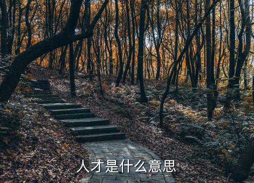 人才是什么意思