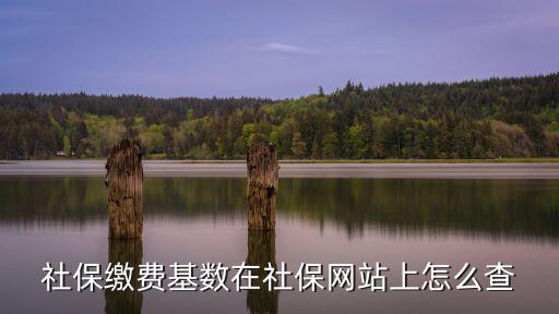 社保繳費基數在社保網站上怎么查