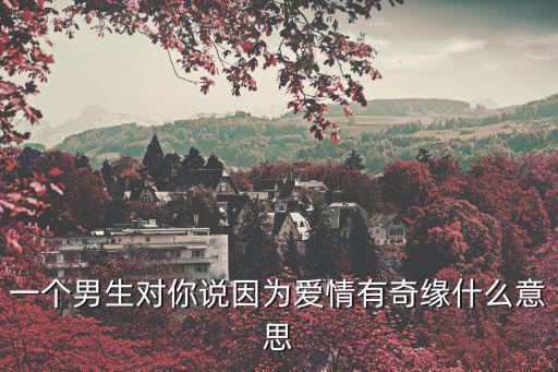 愛情有奇緣，愛情有奇緣結婚的那首歌叫什么