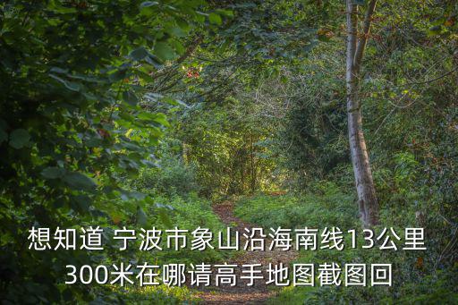 想知道 寧波市象山沿海南線13公里300米在哪請高手地圖截圖回