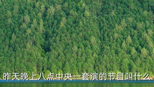 昨天晚上八點中央一套演的節目叫什么