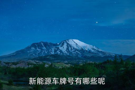 新能源車牌號有哪些呢