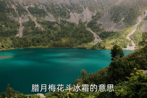 臘月梅花斗冰霜的意思