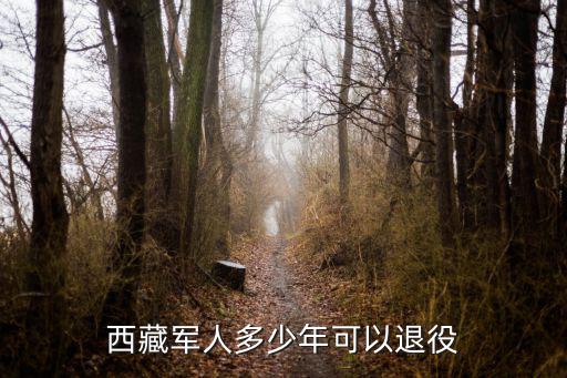 西藏軍人，西藏兵是不是最艱苦最堅(jiān)強(qiáng)的軍人
