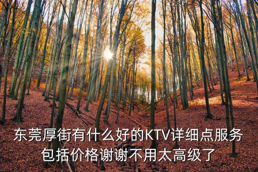 東莞厚街有什么好的KTV詳細點服務包括價格謝謝不用太高級了