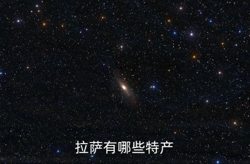 拉薩有哪些特產