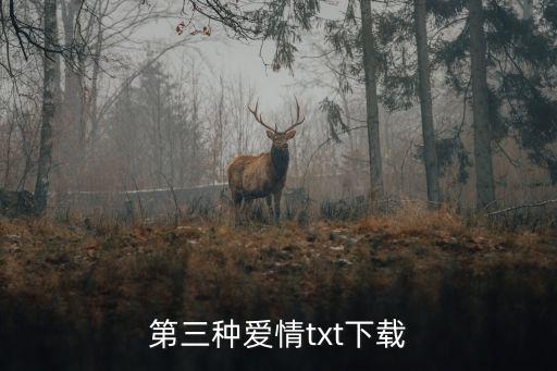 第三種愛情txt下載