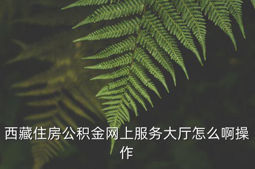 住房公積金網上服務大廳，住房公積金網上查詢