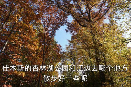 佳木斯的杏林湖公園和江邊去哪個地方散步好一些呢